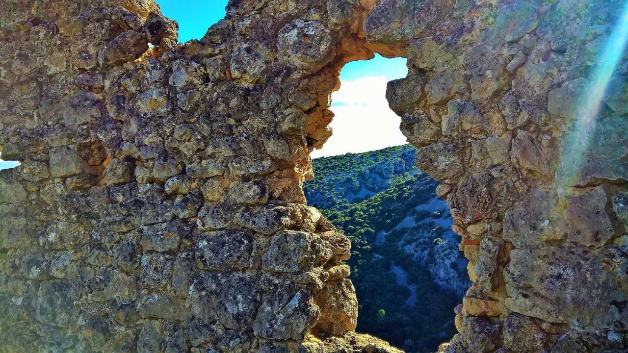 Les Studios De St Guilhem Saint-Guilhem-le-Desert Exteriör bild