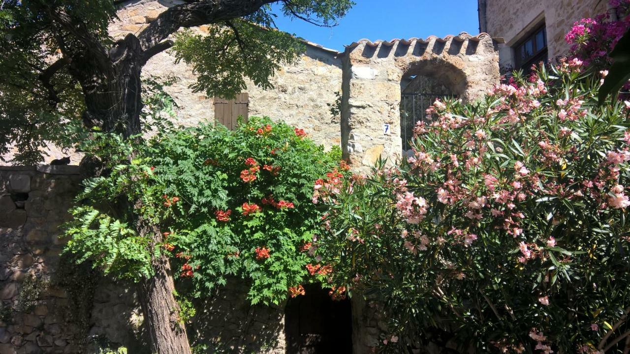 Les Studios De St Guilhem Saint-Guilhem-le-Desert Exteriör bild